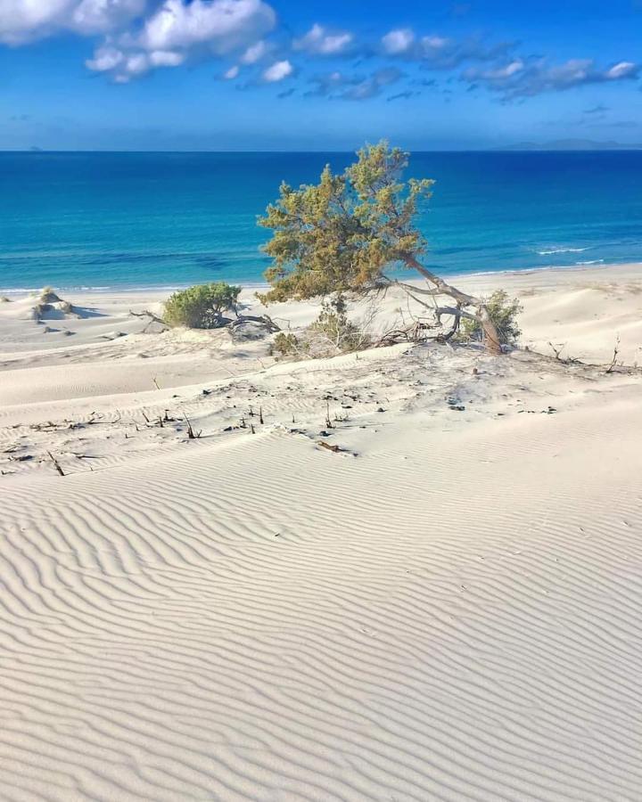 Case Vacanze Il Sogno 2 Porto Pino Eksteriør bilde