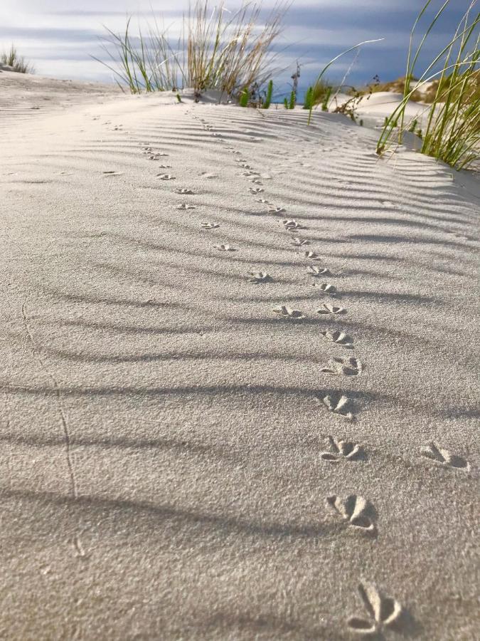 Case Vacanze Il Sogno 2 Porto Pino Eksteriør bilde