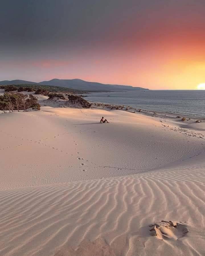 Case Vacanze Il Sogno 2 Porto Pino Rom bilde
